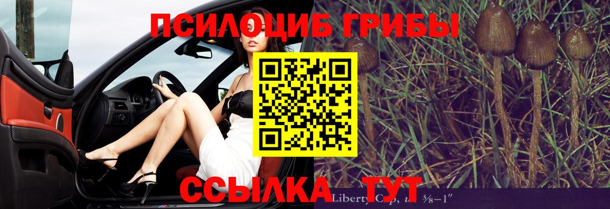 Псилоцибиновые грибы Cubensis  Вход с VPN  Аша 